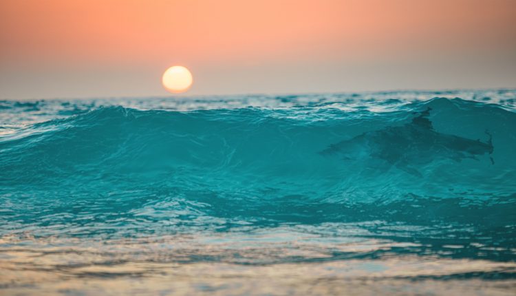 Sunset,Ocean,Wave,With,Shark,In,It,,Tropical,Surfing,Sea